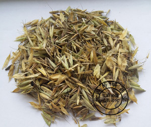 中药材 燕麦草 燕麦草粉 乌麦 野麦草 野燕麦500克包邮 质量保证