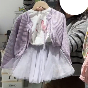 韩国童装女童套装裙2024春季新款小女孩紫色针织开衫网纱半身裙