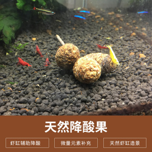 水晶虾降酸果降低ph值天然果夜叉五陪子观赏虾缸造景补充微量元素