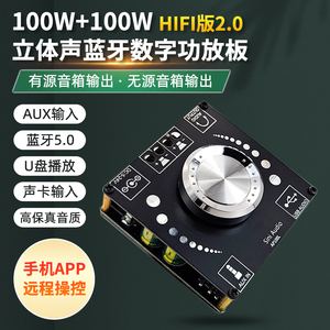 Sini Audio 100Wx2立体声蓝牙5.0数字功放板双声道360度无极调音 蓝牙+AUX+U盘+USB声卡 有/无源音箱输出
