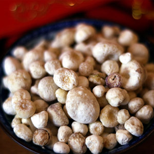 正品野生旱半夏 法半夏特级500克生姜半夏