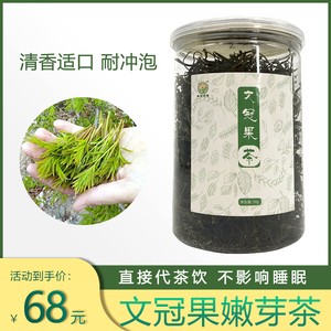 文冠果芽茶新货西北文冠茶甘肃景泰特产罐装养生文官果嫩芽茶叶
