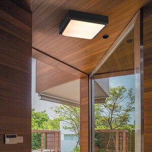 阳光灯具客厅灯