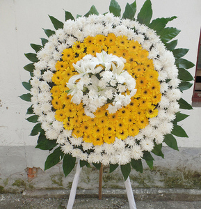 吉林省松原扶余市长岭乾安县白事花圈白菊花篮束老人丧事殡葬用品
