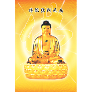 南无阿弥陀佛图像如来佛像大日如来佛祖居家供奉相纸照片塑封画