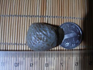蒙古阿拉善天然戈壁 冰珀龟背 血脉玛瑙 彩筋脉玛瑙原石戒面