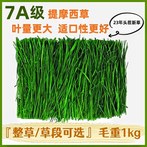 23年烘干提摩西草干草北提毛重1kg兔子草料饲料龙猫荷兰猪粮食