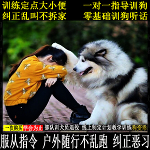 训狗教程训犬神器边牧金毛德牧拉布拉多幼犬指导训练狗蹲便上厕所