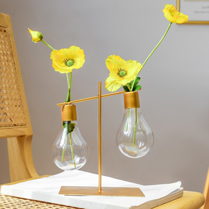 灯泡装饰品水培