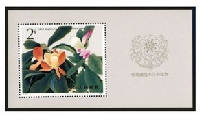 T111 木兰花 小型张 邮票 集邮 收藏 原胶全品