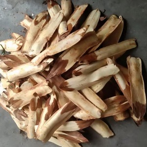 野生天然棕包米新鲜棕包棕包花棕梨包粽苞花中贝无污染