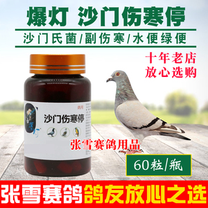 爆灯鸽药沙门伤寒停60粒赛鸽信鸽沙门氏副伤寒水便绿便鸽子药大全