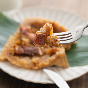 m其林餐厅同款叉烧粽子肉粽鲜肉大粽子端午节散装嘉兴棕子180g