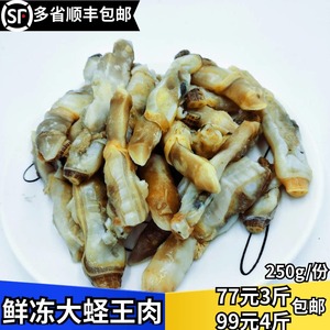 新鲜冷冻蛏王肉大个蛏子肉称王肉海圣子竹节蛏肉海鲜贝类水产生鲜