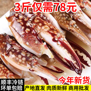 冷冻新鲜梭子蟹钳螃蟹腿大号白蟹脚捞汁麻辣商用食材生鲜海鲜水产