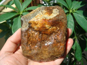 河磨玉黄白原石老玉挂件手把椴树林原石籽料岫岩玉和田玉透闪石玉