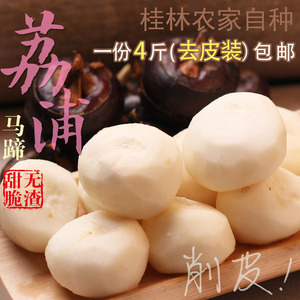 广西桂林荔浦水果新鲜削皮马蹄去皮荸荠4斤火锅食材新马蹄 中果