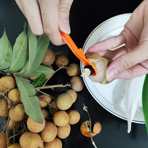 实用龙眼桂圆干去核神器奇异果剥皮器家用挖龙眼肉工具取心器