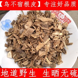中药材 鸟不宿根皮 雀不站皮楤木皮葱木皮500克鹰不泊根皮