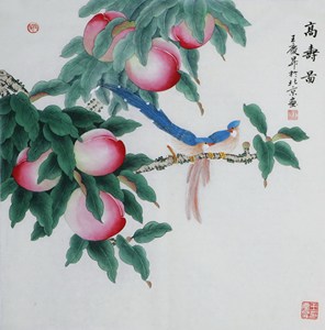 寿带鸟寿桃国画图片图片