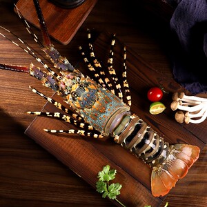 北海涠洲岛特大花龙虾鲜活澳洲大龙虾冷冻水产生鲜非波士顿大龙虾