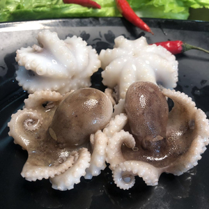 迷你八爪鱼新鲜冷冻小章鱼野生海鲜深海章鱼海鲜水产 400g