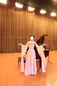 新民歌礼服女独唱歌手演出服衣服粉色杨西音子毕业音乐会演唱礼服