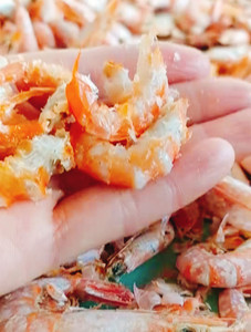 黄海天然海捕海鲜铁壳虾金钩虾大虾米手剥虾干净自产自销干货包邮