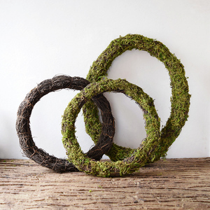 树藤造景植物枯树枝绿植可弯曲造型爬藤装饰青苔假藤蔓条23人付款17