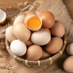 正宗土鸡蛋 五谷杂粮 农家散养土鸡蛋 新鲜柴鸡蛋 草鸡蛋