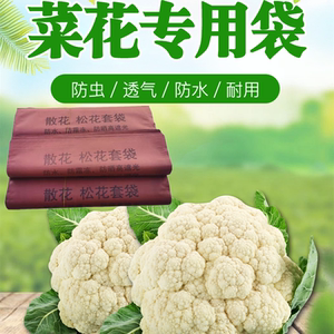 双层加厚防水防虫防晒花菜松花散花有机菜花专用套袋子纸保护套袋