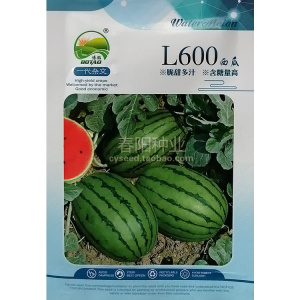 l600西瓜种子 脆甜多汁 含糖量高 吊瓜种籽 礼品小西瓜 果肉大红
