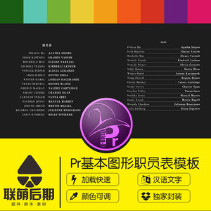 29组pr模板微电影片头片尾职员表premiere2018基本图形花絮预设