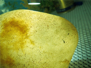 缅甸大马坎冰种水沫子原石摆件观赏石珠宝奇石玉石毛料包邮手镯料