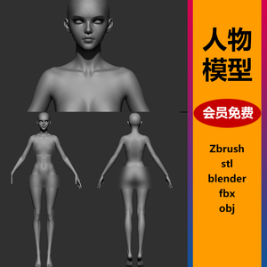 Zbrush模型亚洲女性人物角色3d美女孩ZB雕刻obj/ztl文件stl高精度