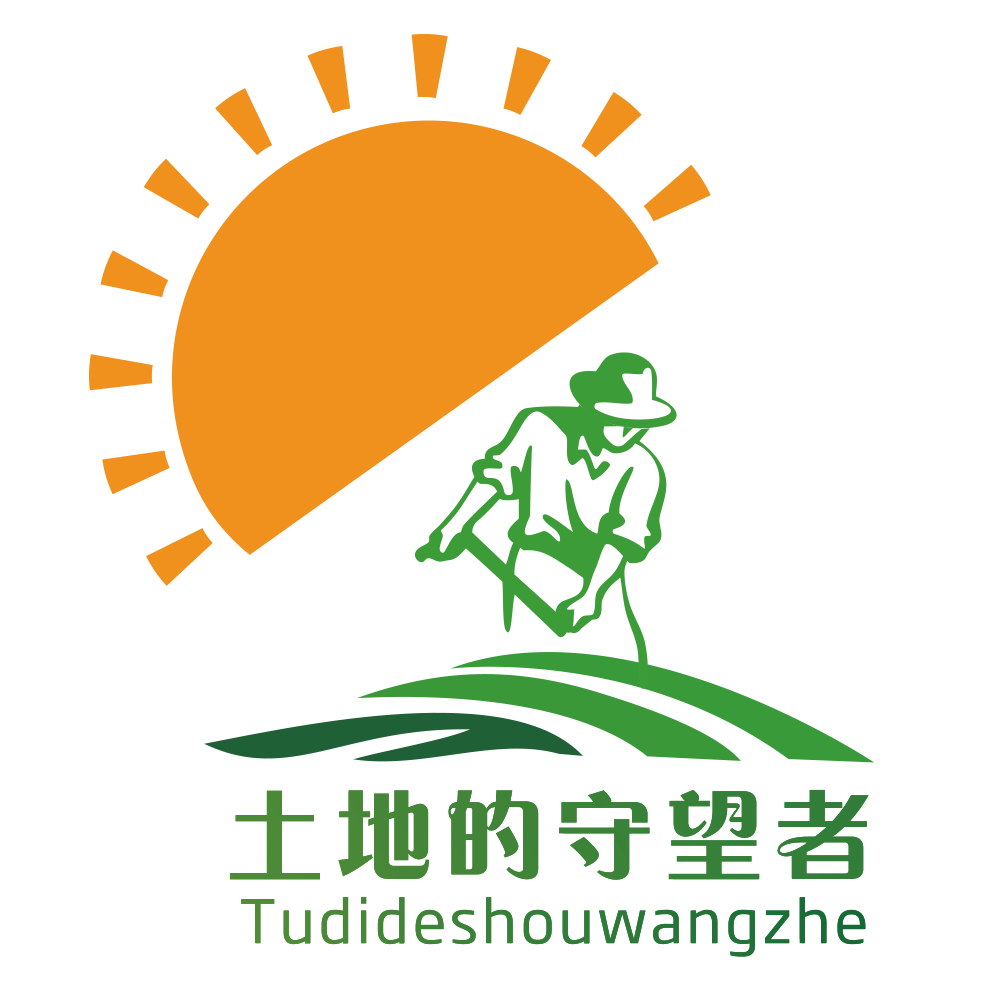 黑豆农家自产绿芯小黑豆非东北非转基因 可醋泡黑豆药用 朝阳