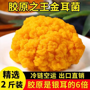 【黄金菌】黄金菌品牌,价格 - 阿里巴巴