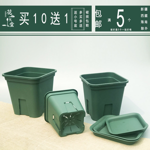 月季盆方形控根加仑盆多肉盆月季铁线莲加仑盆可配托盘套餐5个装