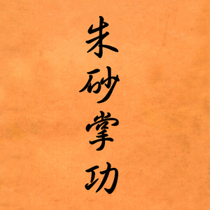 杨永朱砂掌健身养生功(文 视) 正宗内家功法健身养生防身