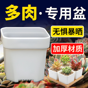 热卖八角加厚小白方多肉花盆特厚塑料方形植物叶插育苗盆大黑方盆