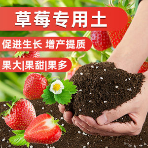 无土栽培基质 楼顶阳台种植土营养土草莓专用土 种植土盆栽土60升