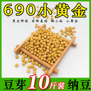黑龙江大豆小粒黄豆690小金黄豆芽纳豆豆浆农家自种杂粮10斤包邮