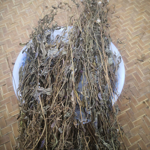 野生一点红中草药潮汕小号叶下红新货干品红背叶羊蹄草500克包邮