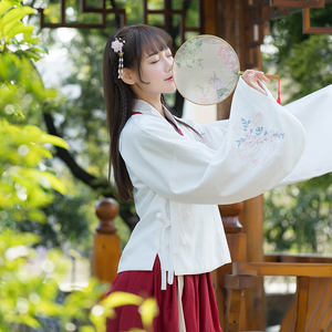 魏晋风红昭愿古装琵琶袖汉服改良古代衣服女仙女夏装仙鹤襦裙套装