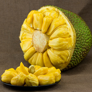 海南三亚菠萝蜜热带新鲜水果黄肉波罗蜜当季整箱特产20-40斤整个