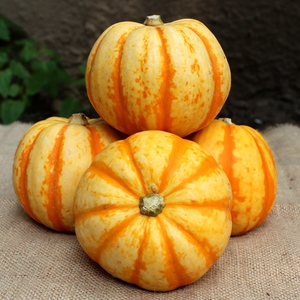 小南瓜5斤 桔瓜迷你黄色新鲜蔬菜农产品 太阳瓜太阳果