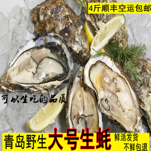 生蚝鲜活 海蛎子满4斤顺丰包邮水产贝类烧烤新鲜海鲜带壳青岛牡蛎
