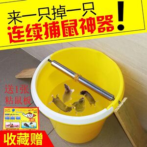 水老鼠笼子