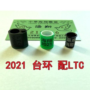 000人付款淘宝刚刚来的红二条2021台鸽,黄眼,压尾,脚环号:nhrp-9tb