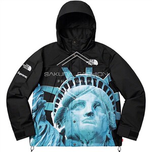 supreme tnf fw19 statue of libert 北面联名 自由女神像 冲锋衣